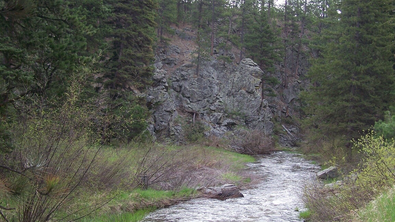 Photo of Others in Nemo