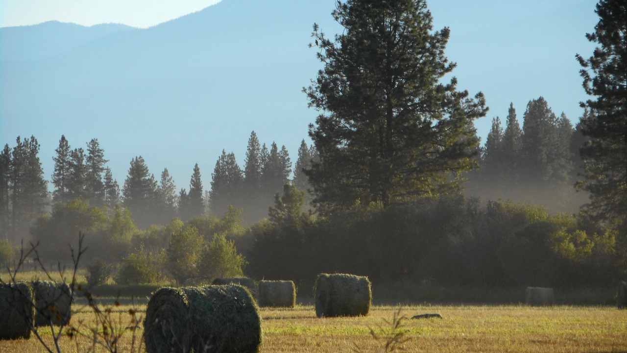 Photo of Outdoor in New Meadows