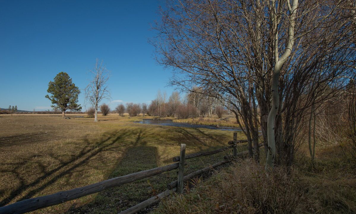 Photo of Outdoor in Moose Wilson Road
