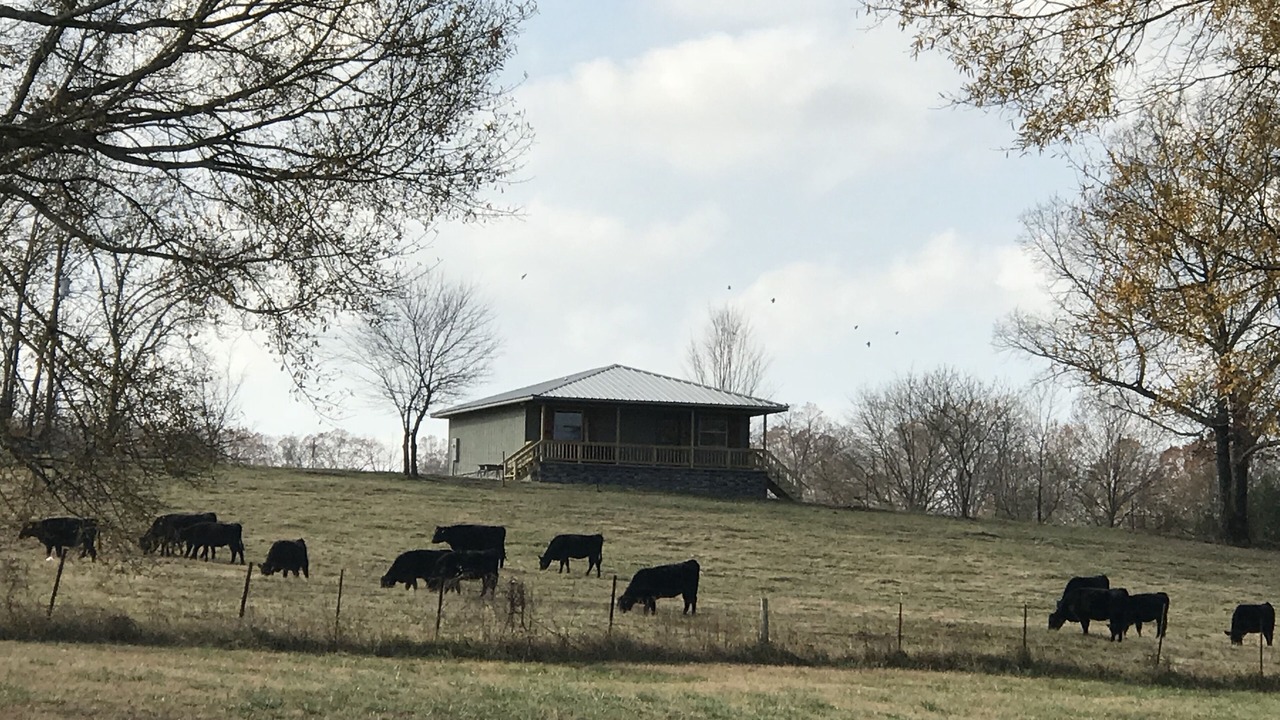 Photo of Others in Pearcy