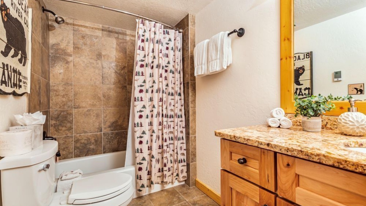 Photo of Bathroom in Moose Wilson Road