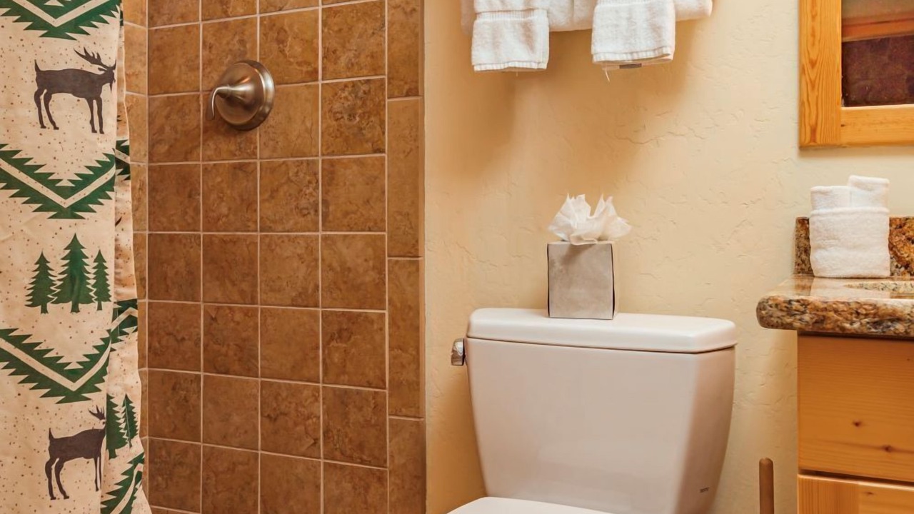 Photo of Bathroom in Moose Wilson Road