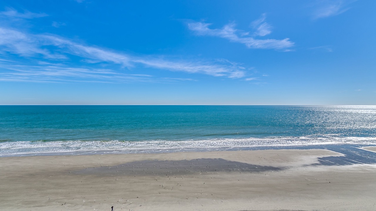 Photo of Others in Myrtle Beach