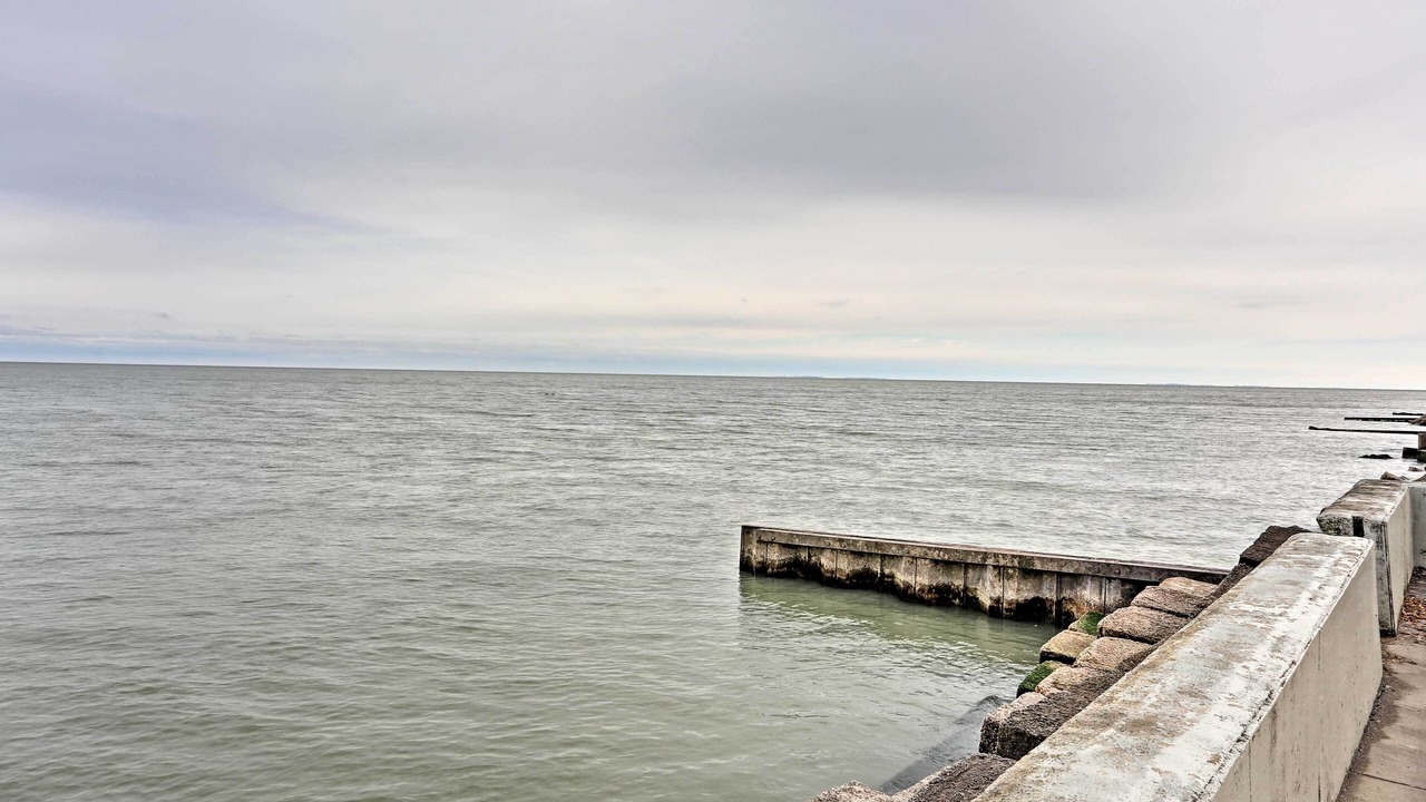 Photo of Others in Oak Harbor