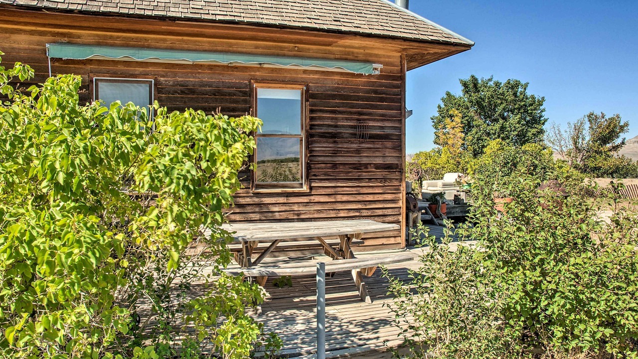 Photo of Outdoor in Shell