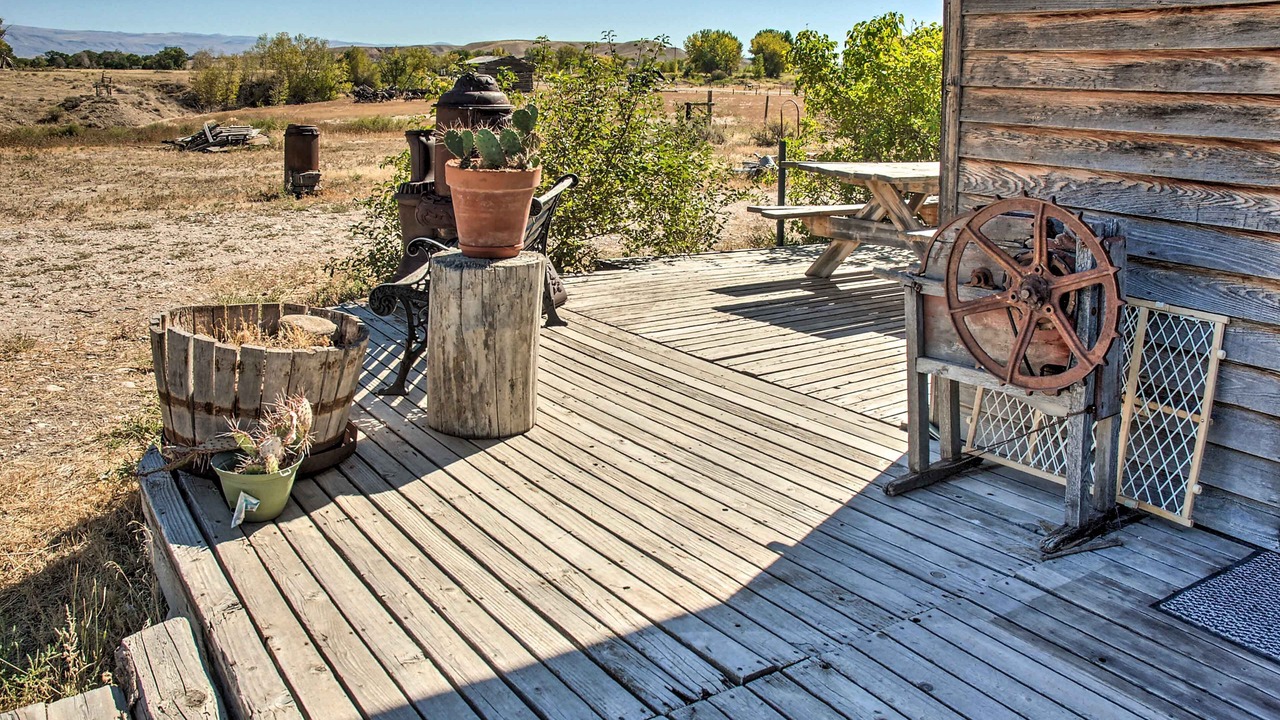 Photo of Outdoor in Shell