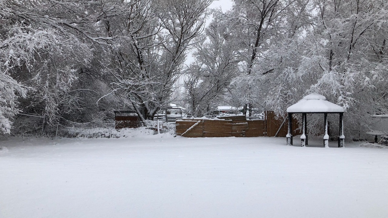 Photo of Outdoor in Millcreek