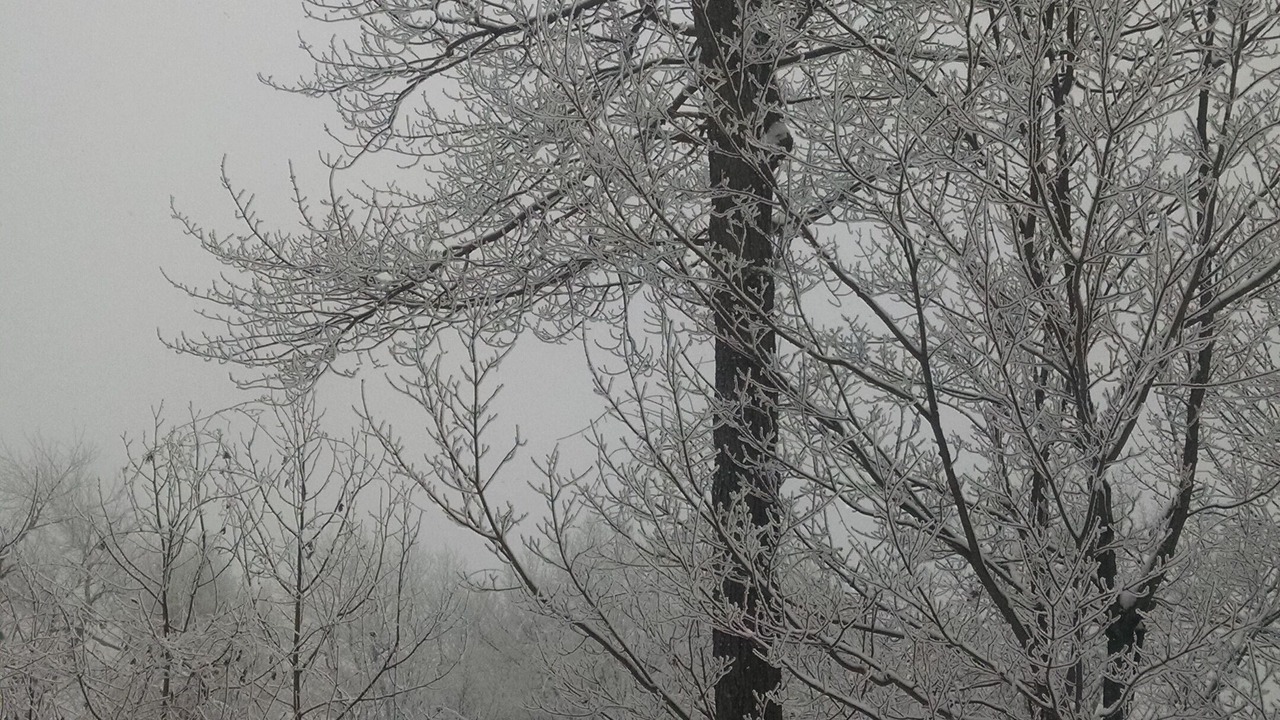 Photo of Others in Seven Springs