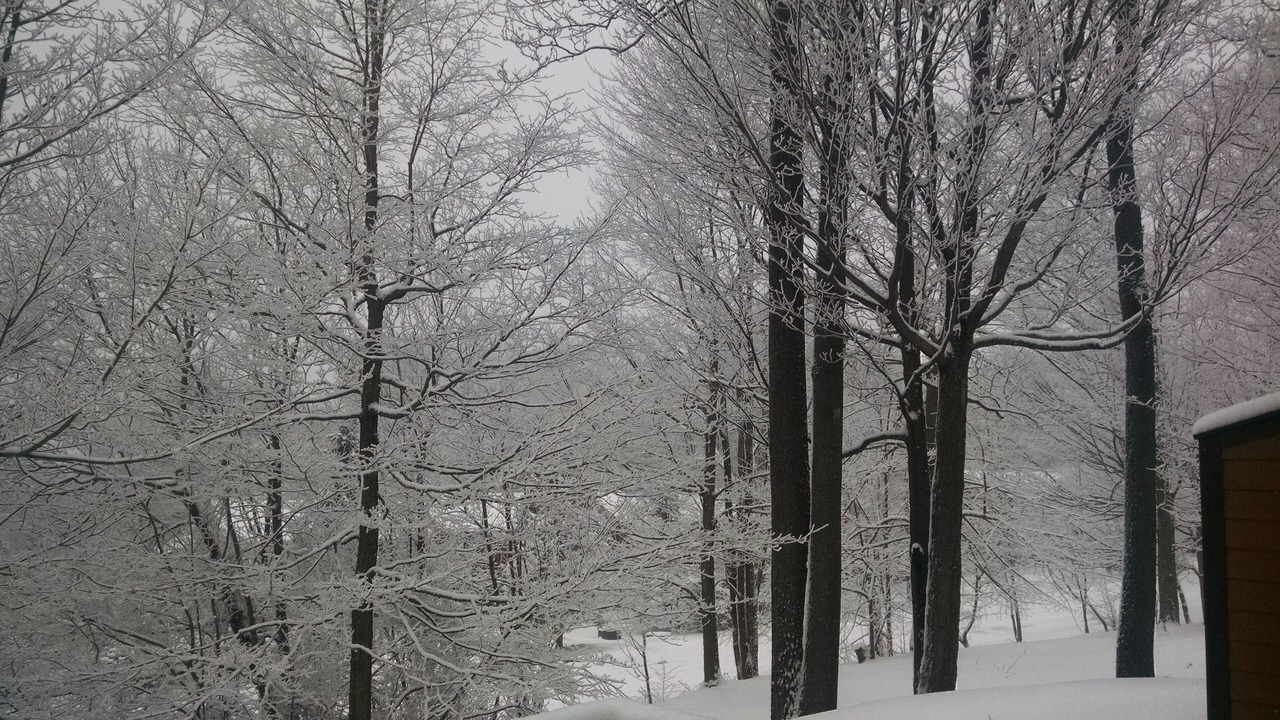 Photo of Others in Seven Springs
