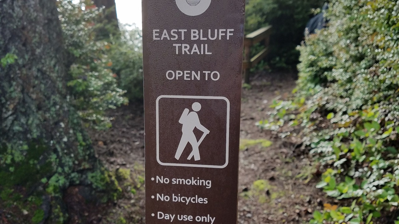 Photo of Others in Burley