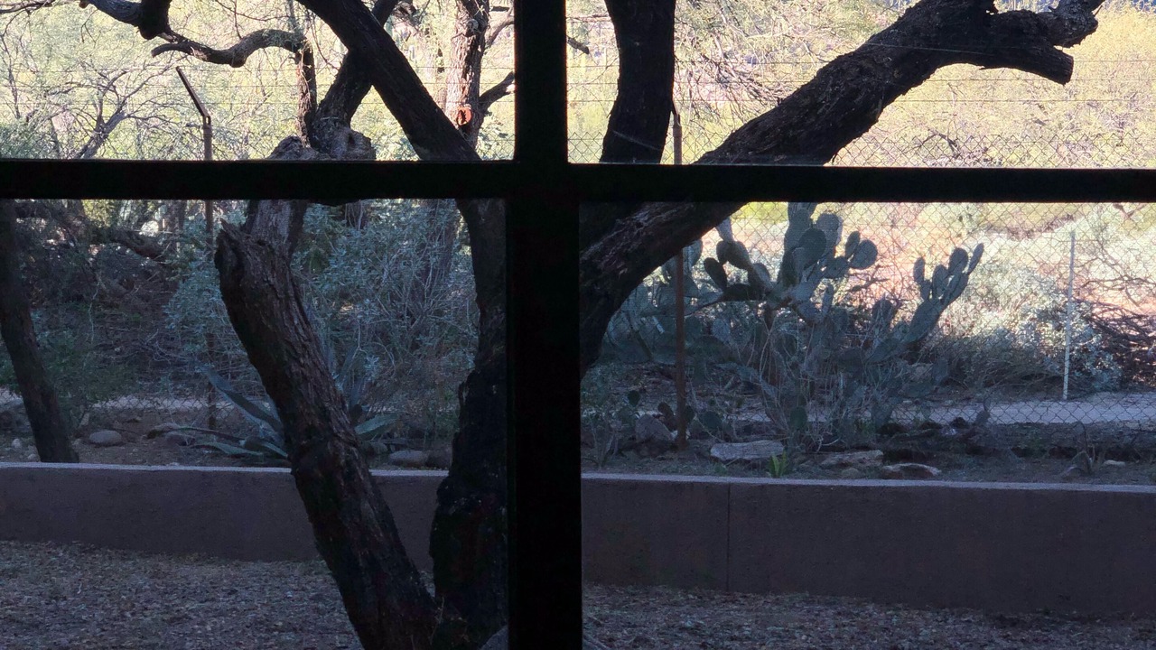 Photo of Others in Tucson