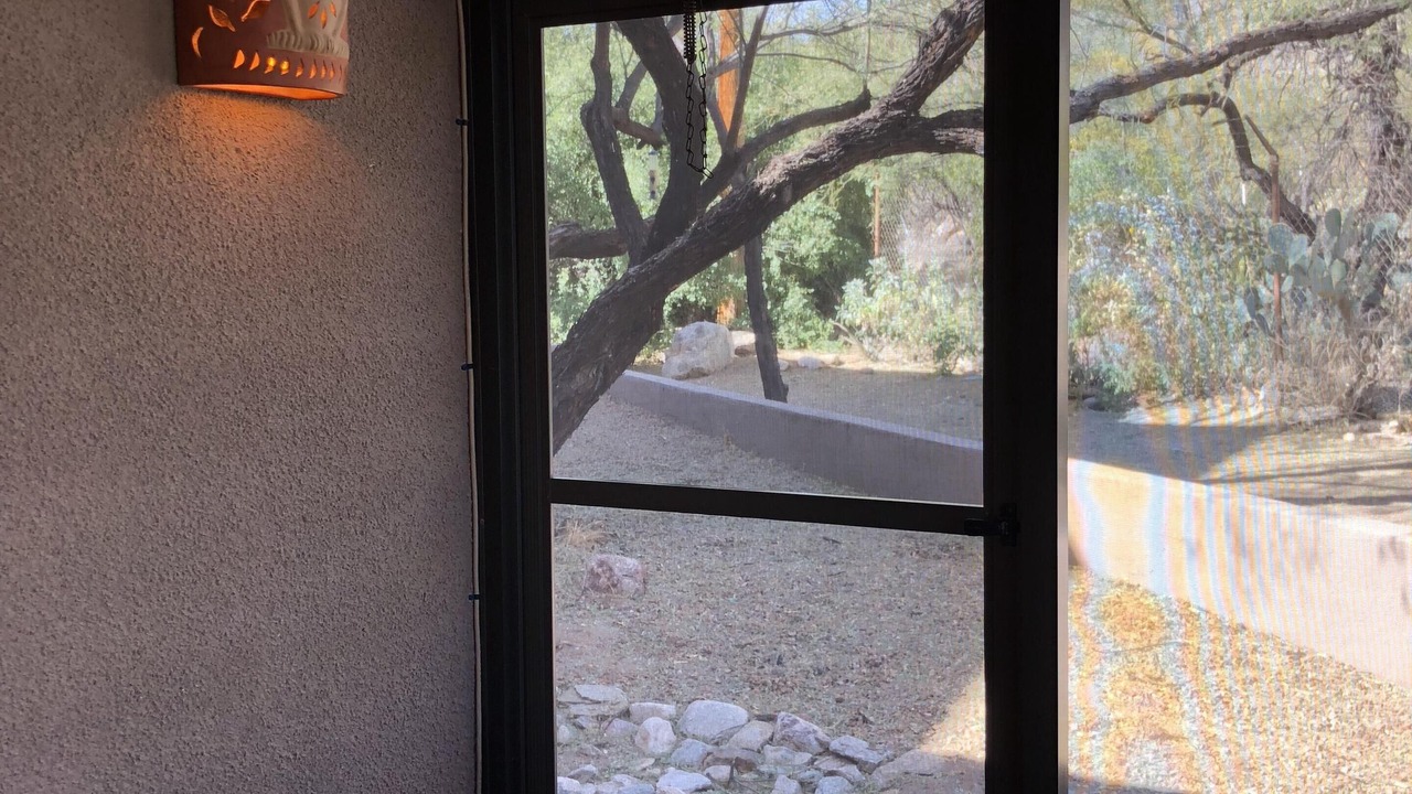 Photo of Others in Tucson