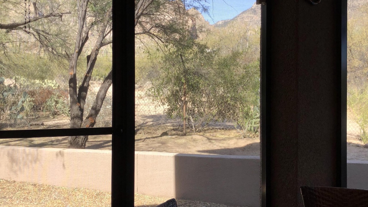 Photo of Others in Tucson
