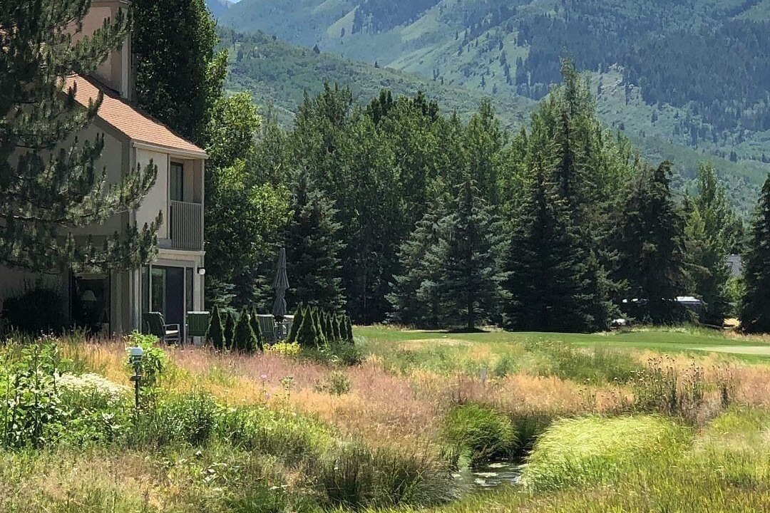 Photo of Others in Park Meadows