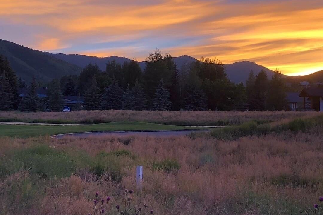 Photo of Outdoor in Park Meadows