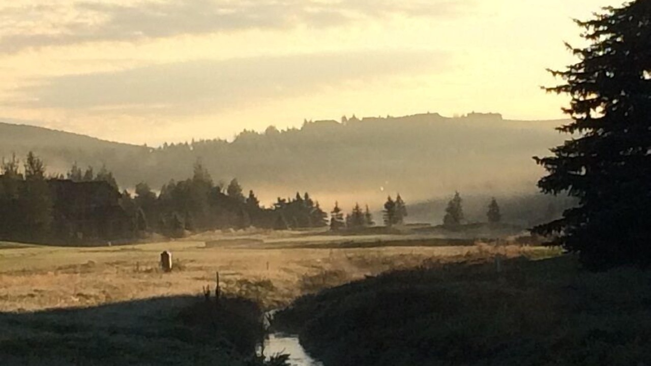 Photo of Others in Park Meadows