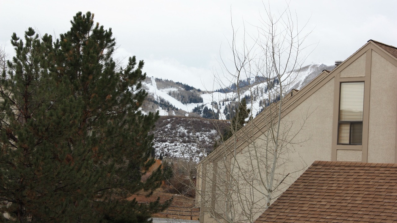 Photo of Bedroom in Park Meadows
