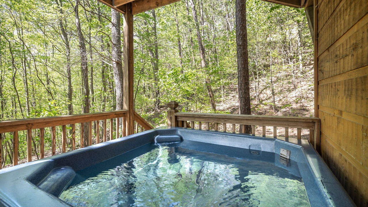 Photo of Outdoor in Sevierville