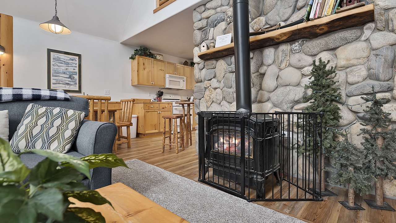 Photo of Livingroom in McCall