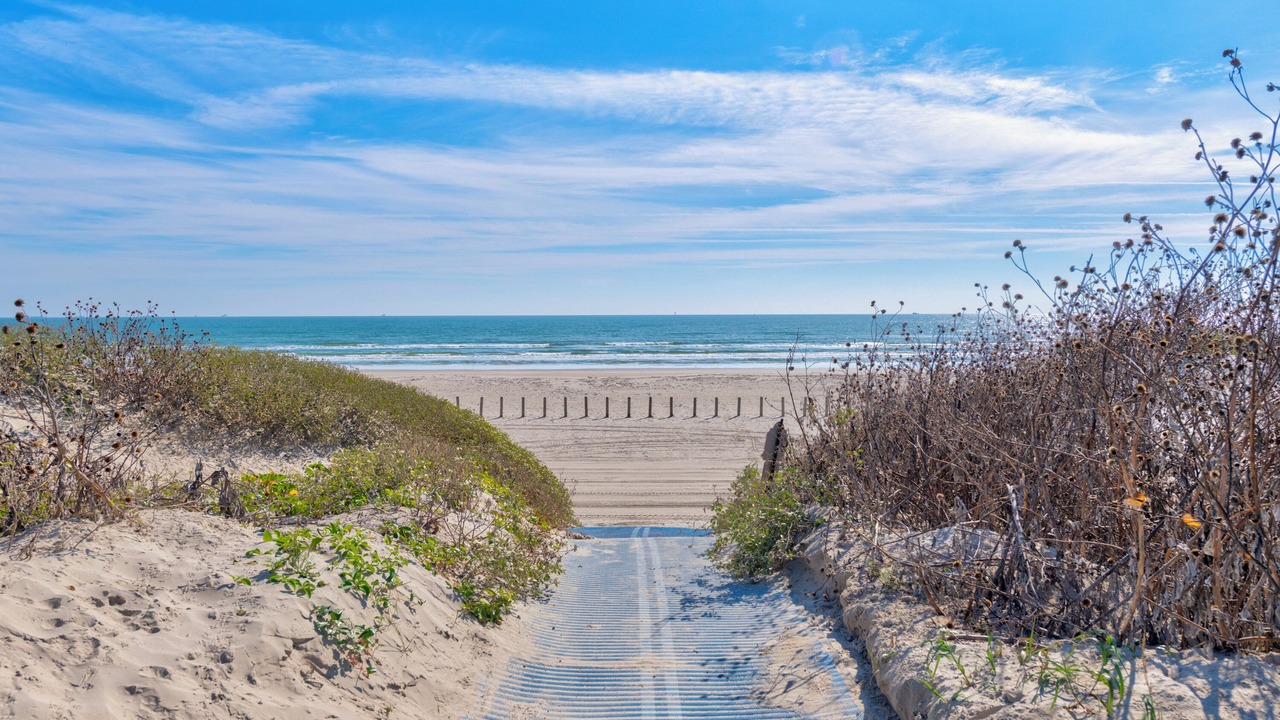 Photo of Others in Port Aransas