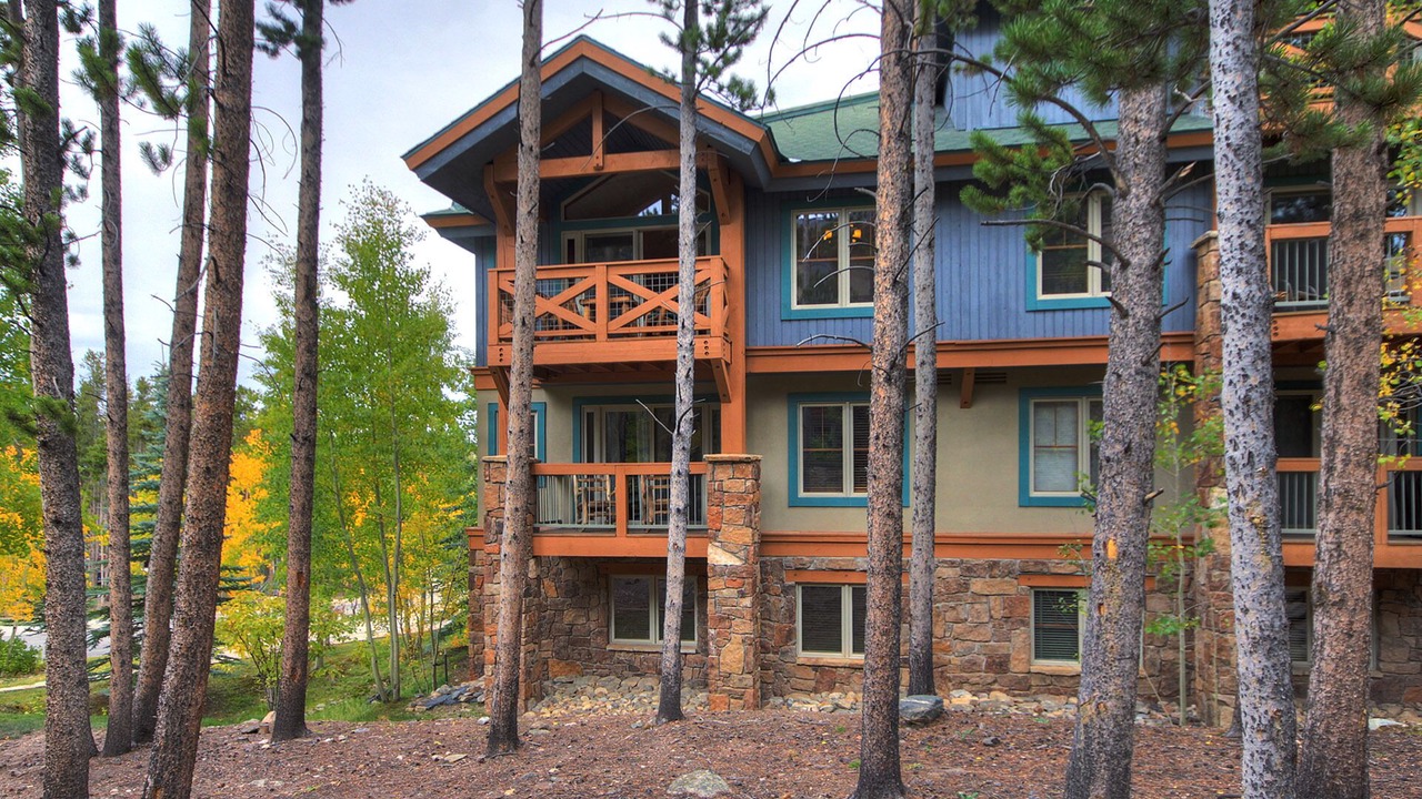 Photo of Outdoor in Four O'Clock