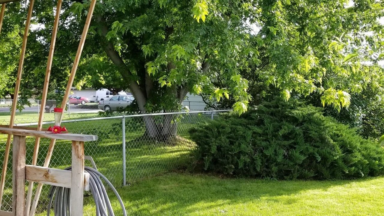 Photo of Others in West Valley