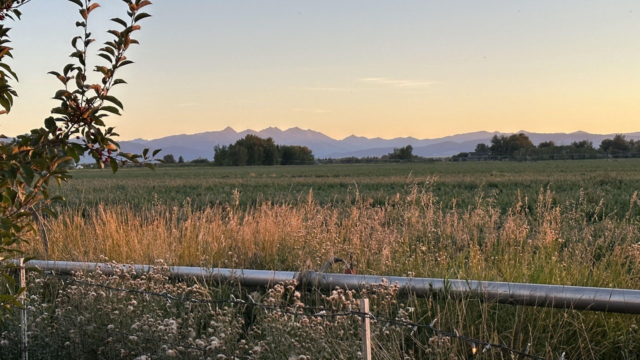 Photo of Others in Bozeman