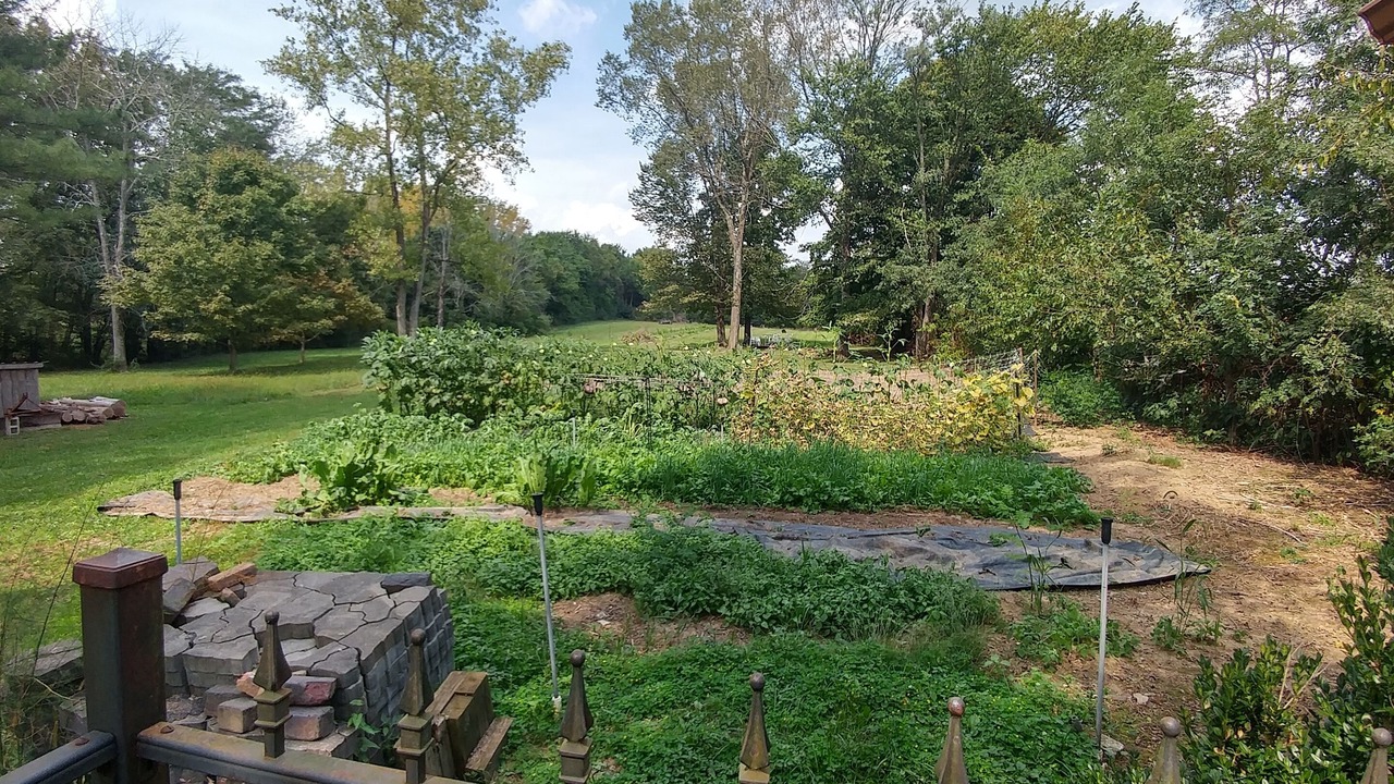Photo of Outdoor in Hallsville