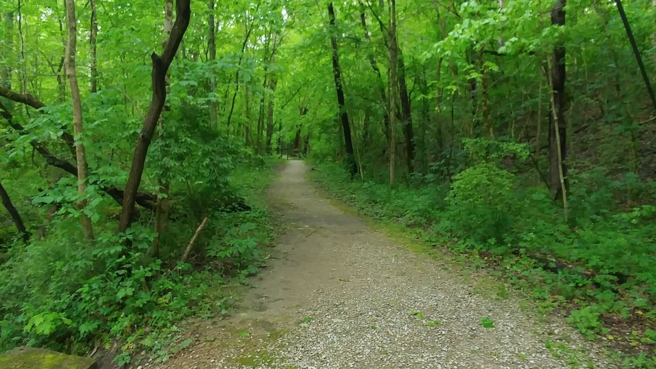 Photo of Outdoor in Hallsville