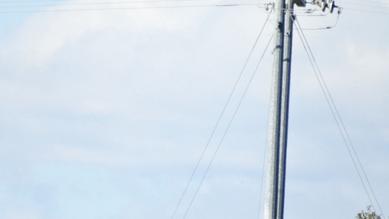 Photo of Others in Barium Springs