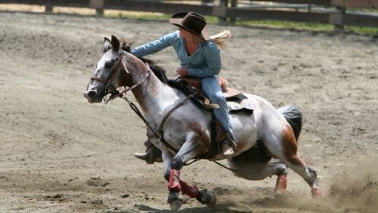 Photo of Others in Cody