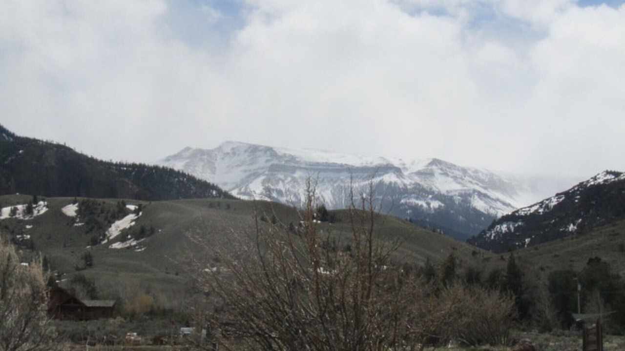 Photo of Others in Wapiti