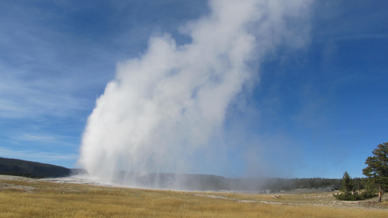 Photo of Others in Wapiti