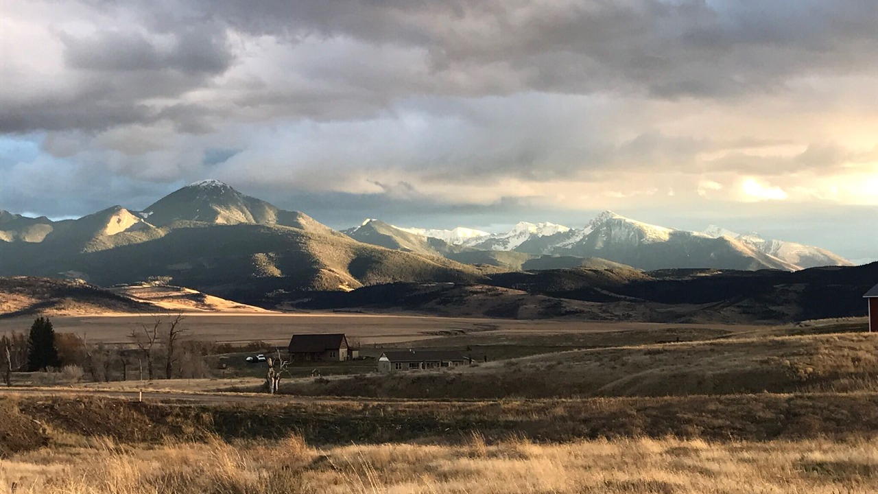 Photo of Outdoor in Livingston