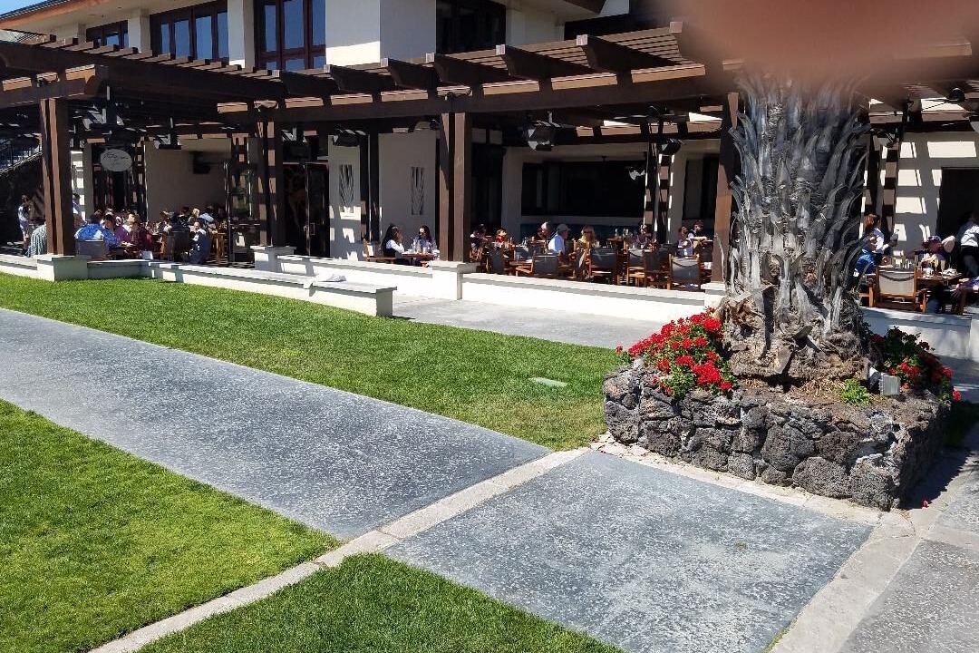 Photo of Others in Mission Beach