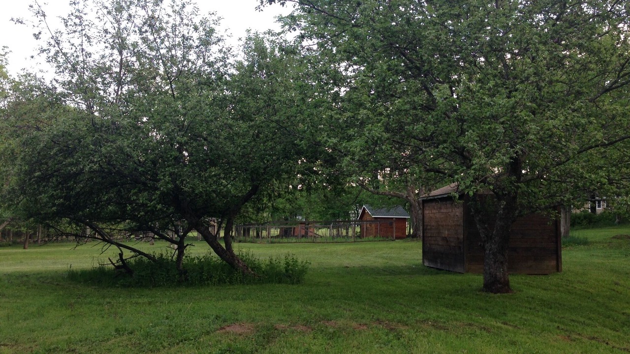Photo of Outdoor in Jeffersonville