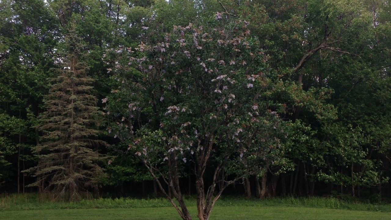 Photo of Outdoor in Jeffersonville