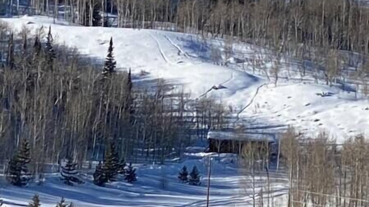 Photo of Others in Walden