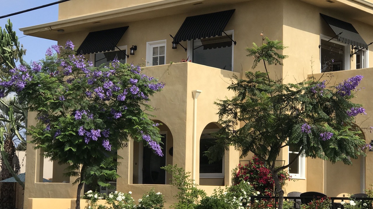 Photo of Outdoor in Mission Hills