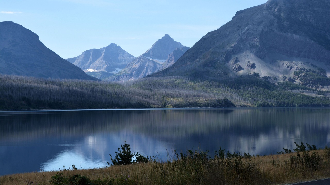 Photo of Outdoor in South Browning