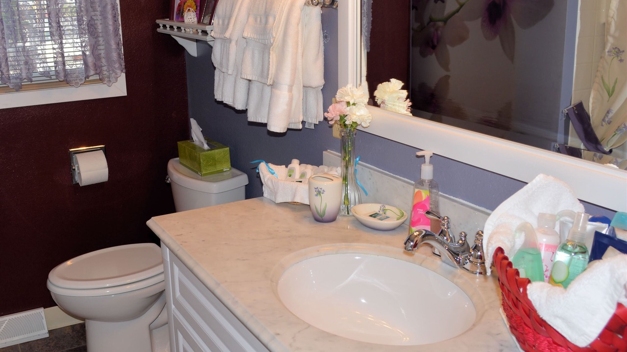 Photo of Bathroom in South Browning