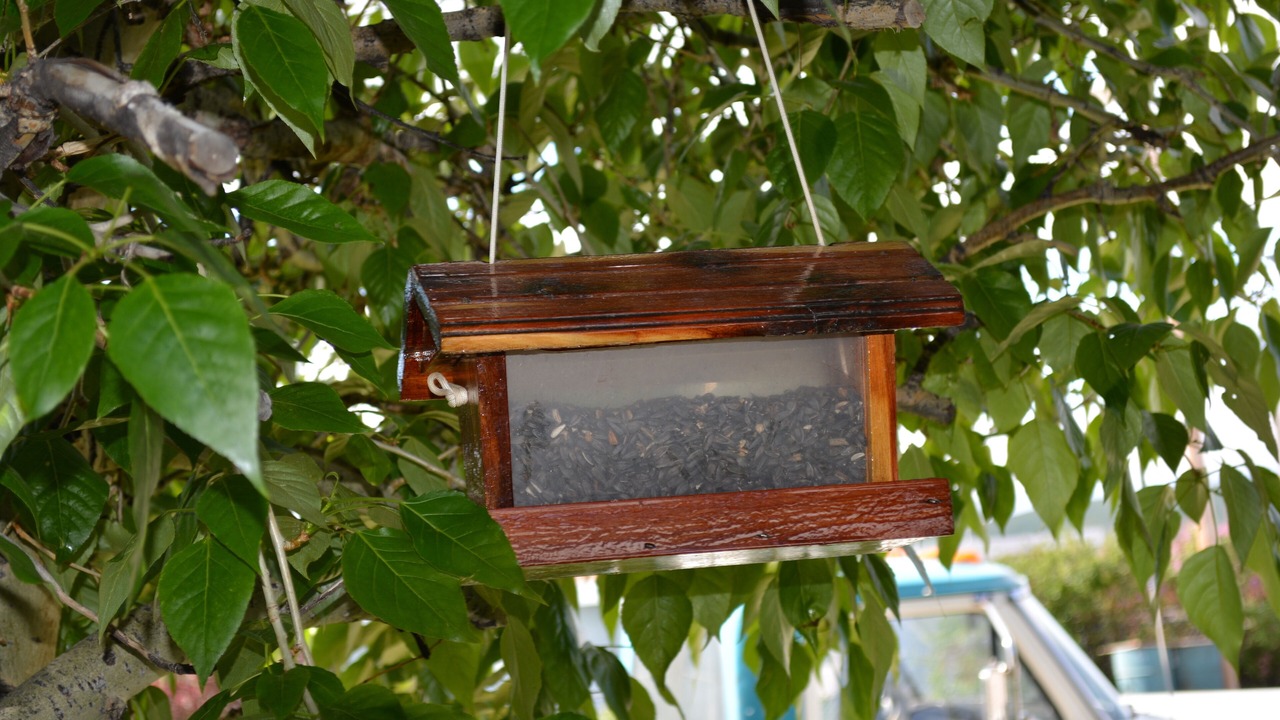 Photo of Outdoor in South Browning