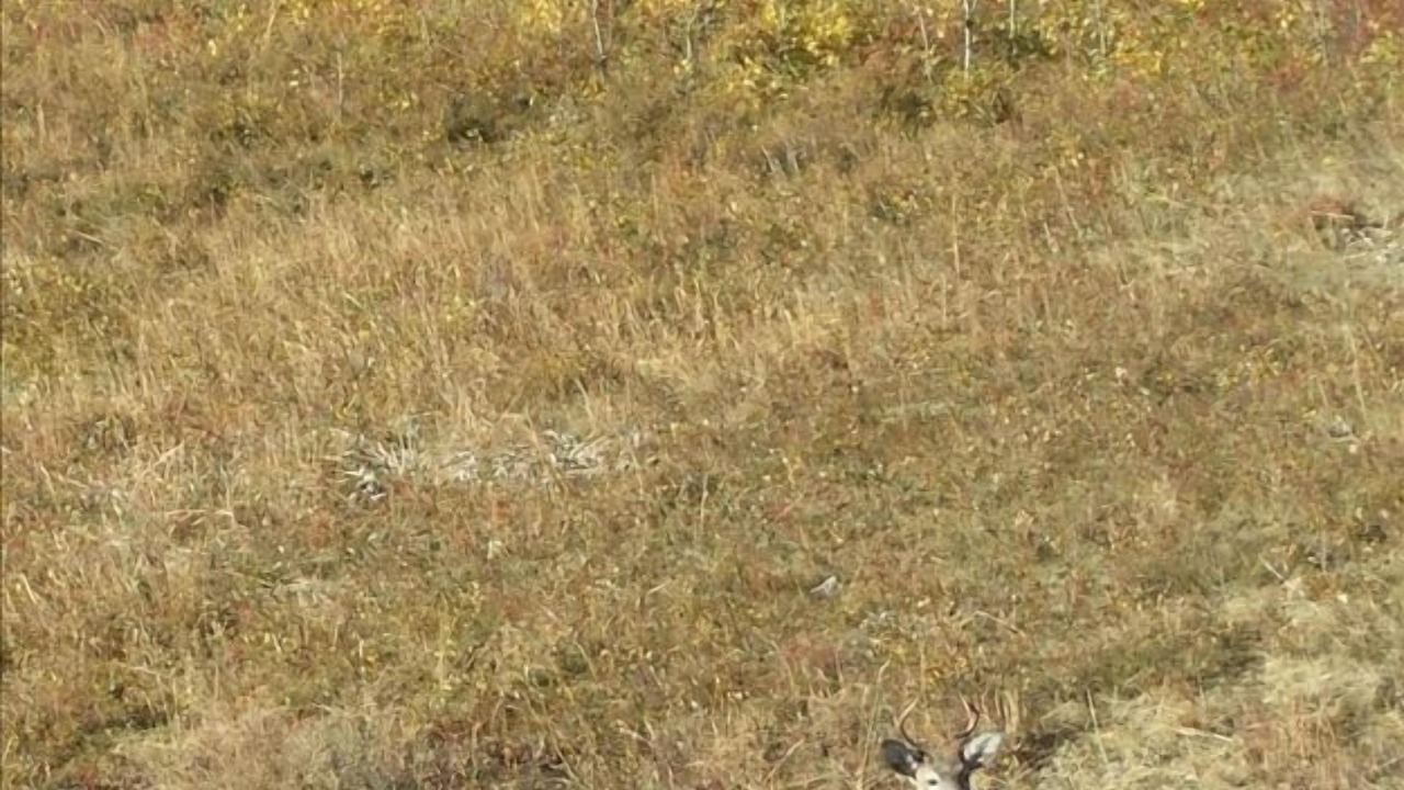 Photo of Others in Babb
