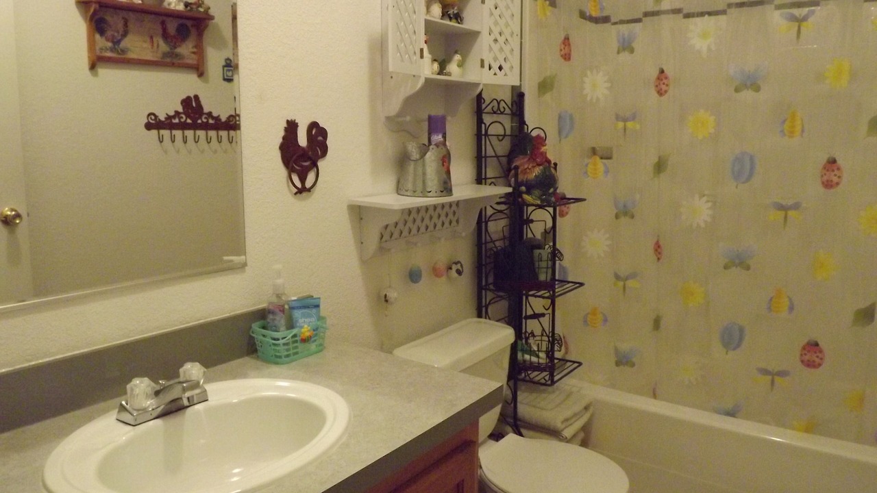 Photo of Bathroom in Babb