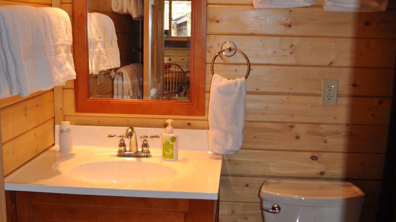 Photo of Bathroom in Gardiner