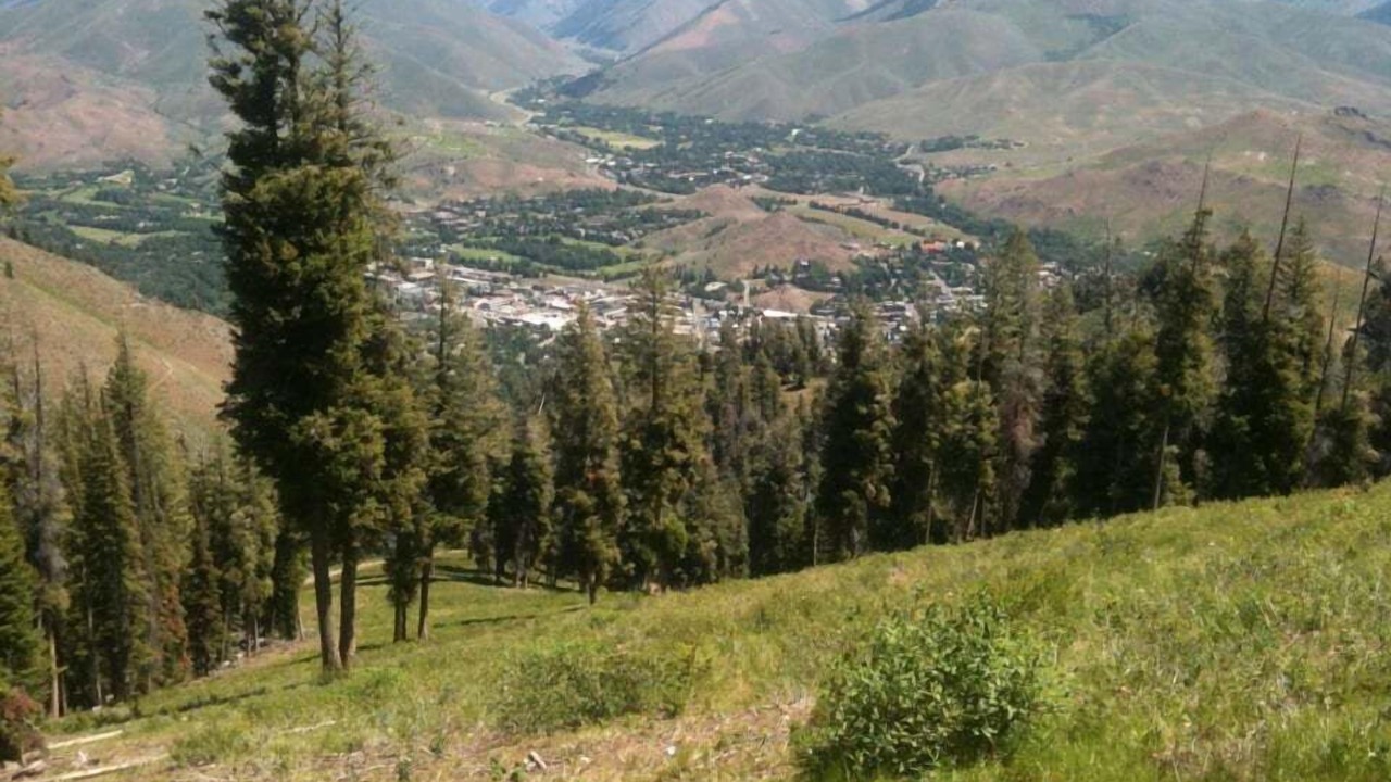 Photo of Others in Ketchum