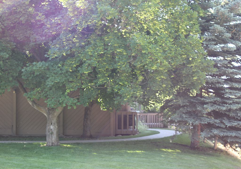Photo of Others in Ketchum