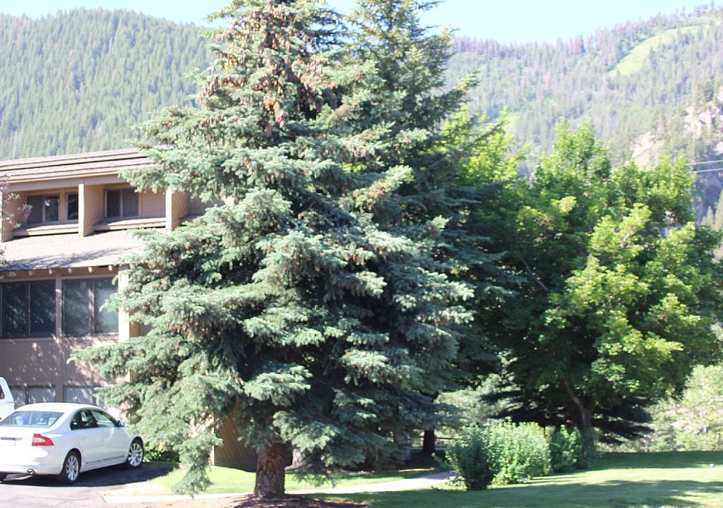 Photo of Others in Ketchum
