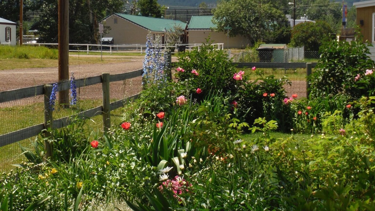 Photo of Others in East Glacier Park Village