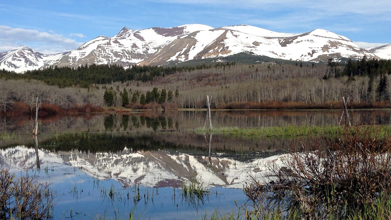 Photo of Others in East Glacier Park Village